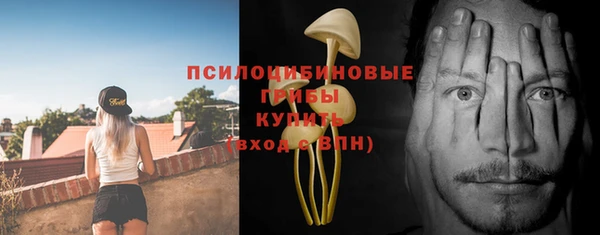 дживик Карпинск