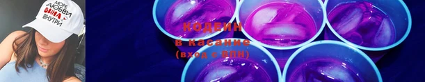 ГАЛЛЮЦИНОГЕННЫЕ ГРИБЫ Касимов