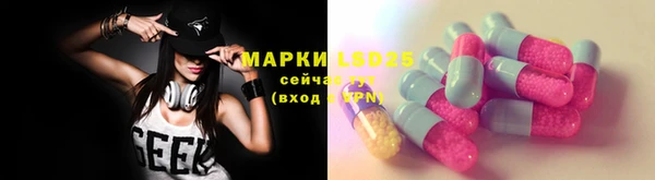 дживик Карпинск